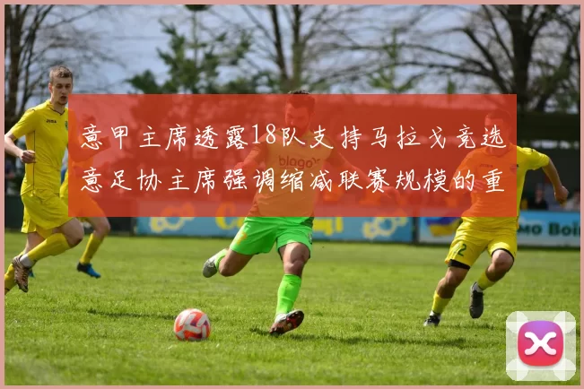 意甲主席透露18队支持马拉戈竞选意足协主席强调缩减联赛规模的重要性