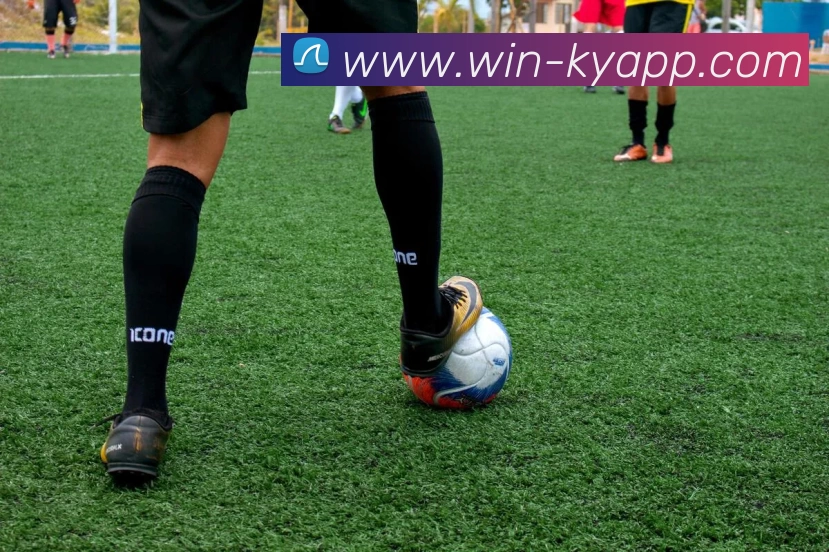 开云体育APP 高清赛事图